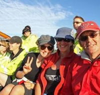Byron Bay Whale Watching - Stayed