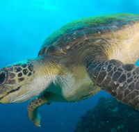 Byron Bay Dive Centre - Stayed
