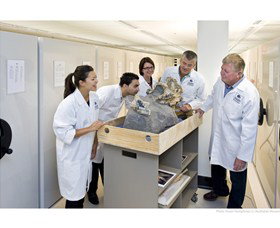 Behind The Scenes Tours At Australian Museum - Stayed 0