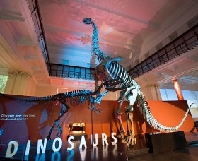 Australian Museum - Stayed 0