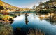 Fly Fishing Tumut - thumb 0