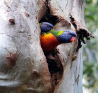 Cumberland State Forest - Stayed