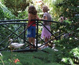 EG Waterhouse National Camellia Garden - Stayed 0