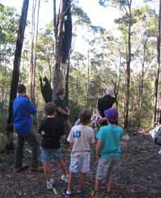 Boronia Tours - Stayed 1