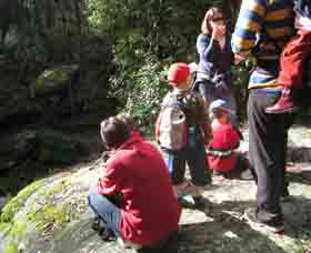 Boronia Tours - Stayed 2