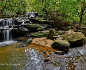 Australian Sightseeing And Photography Tours - Stayed 1