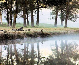 Australian Sightseeing And Photography Tours - Stayed 4