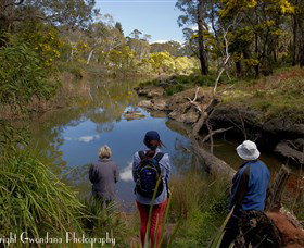 Australian Sightseeing And Photography Tours - Stayed 5