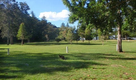The Basin Picnic Area - Stayed 1