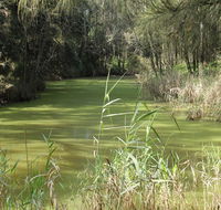 Second Ponds Creek walk - Stayed