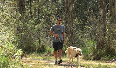 Second Ponds Creek Walk - Stayed 3