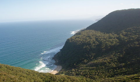 Palm Jungle Loop Track - Stayed 1