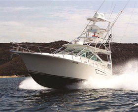 1300 Big Fish - Stayed 0