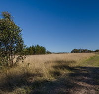 Scheyville horse riding trails - Stayed