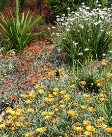 Mt Penang Gardens - Stayed 4