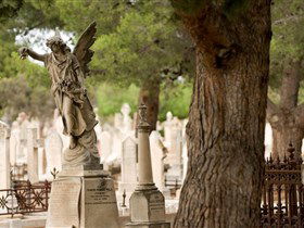 West Terrace Cemetery - Stayed 0