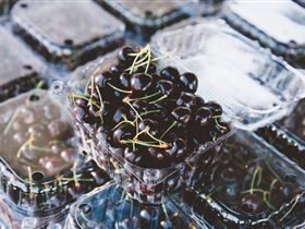 Adelaide Farmers' Market Showground - Stayed 1