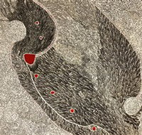 Marshall Arts - Stayed