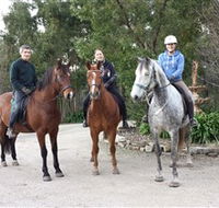 Academy of Dressage - Stayed