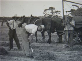 Platform 1 Heritage Farm Railway - Stayed 3