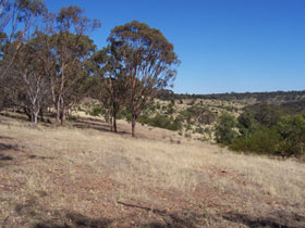 Onkaparinga River National Park - Stayed 0