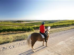 Willunga Hill SA Stayed