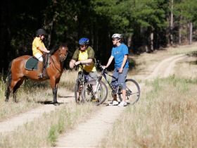 Kidman Trail - Stayed 1