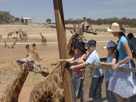 Monarto Open Range Zoo - Stayed 0