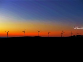 Starfish Hill Windfarm - Stayed 0