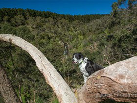 Ingalalla Waterfalls - Stayed 1