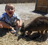 Animal Farm Goolwa - Stayed