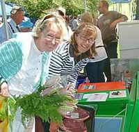 Victor Harbor Farmers Market - Stayed