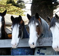 Victor Harbor Horse Drawn Tramway - Stayed