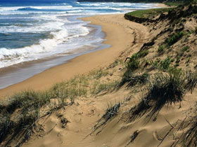 Waitpinga SA Stayed