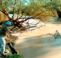 Charleville - Ward River Fishing Spot - Stayed