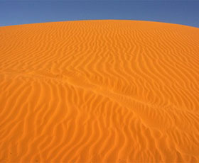 Perry Sandhills - Stayed 0