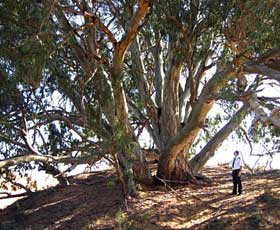 Perry Sandhills - Stayed 2