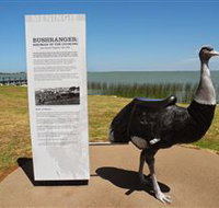 Birdman of the Coorong - Stayed