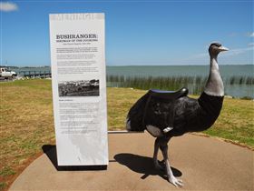 Birdman Of The Coorong - Stayed 0