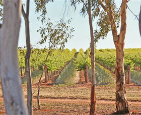 Trentham Estate Winery - Stayed 4