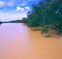Warrego River - Stayed
