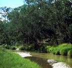 Salvator Rosa Section - Carnarvon National Park - Stayed
