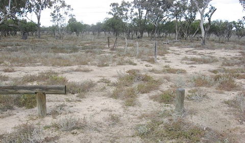 Culgoa Connellys Track - Stayed 0