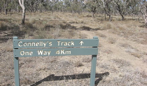 Culgoa Connellys Track - Stayed 1