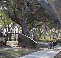 Wallam Creek Bollon - Stayed