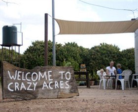 Crazy Acres - Stayed 0