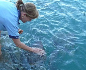 Aquascene - Stayed 2