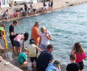 Aquascene - Stayed 3