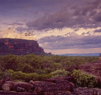 Nature's Way - Stayed