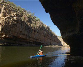 Nature's Way - Stayed 2